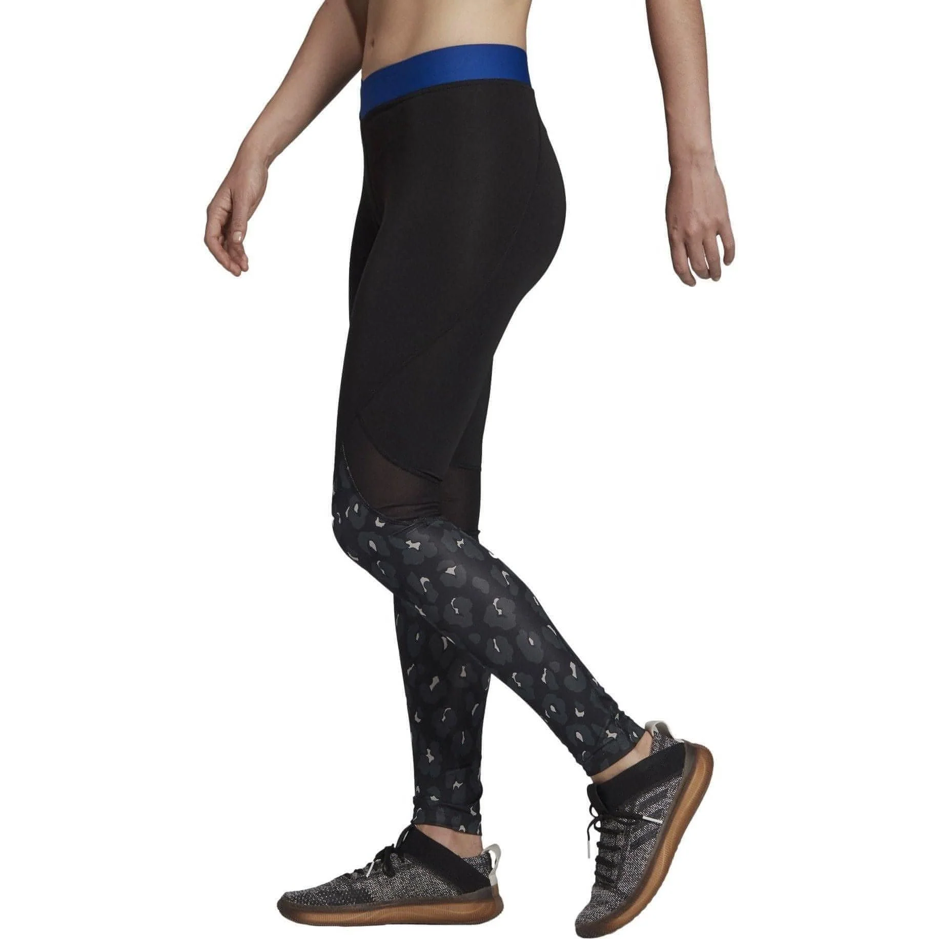 adidas AlphaSkin Iteration Womens Long Training Tights - Black - Image 3