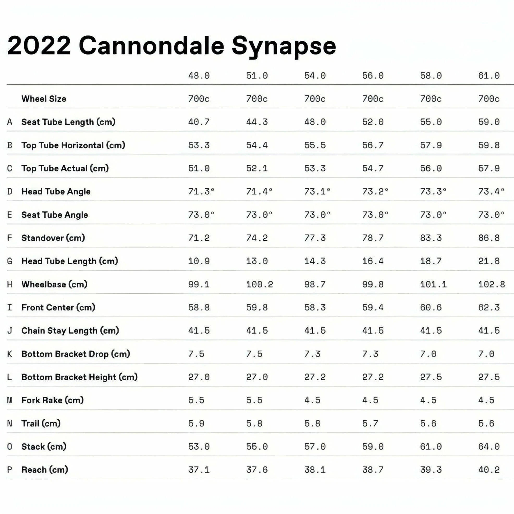 Cannondale Synapse Carbon 4 Road Bike 2024 Ex-Demo - Pine - Image 3
