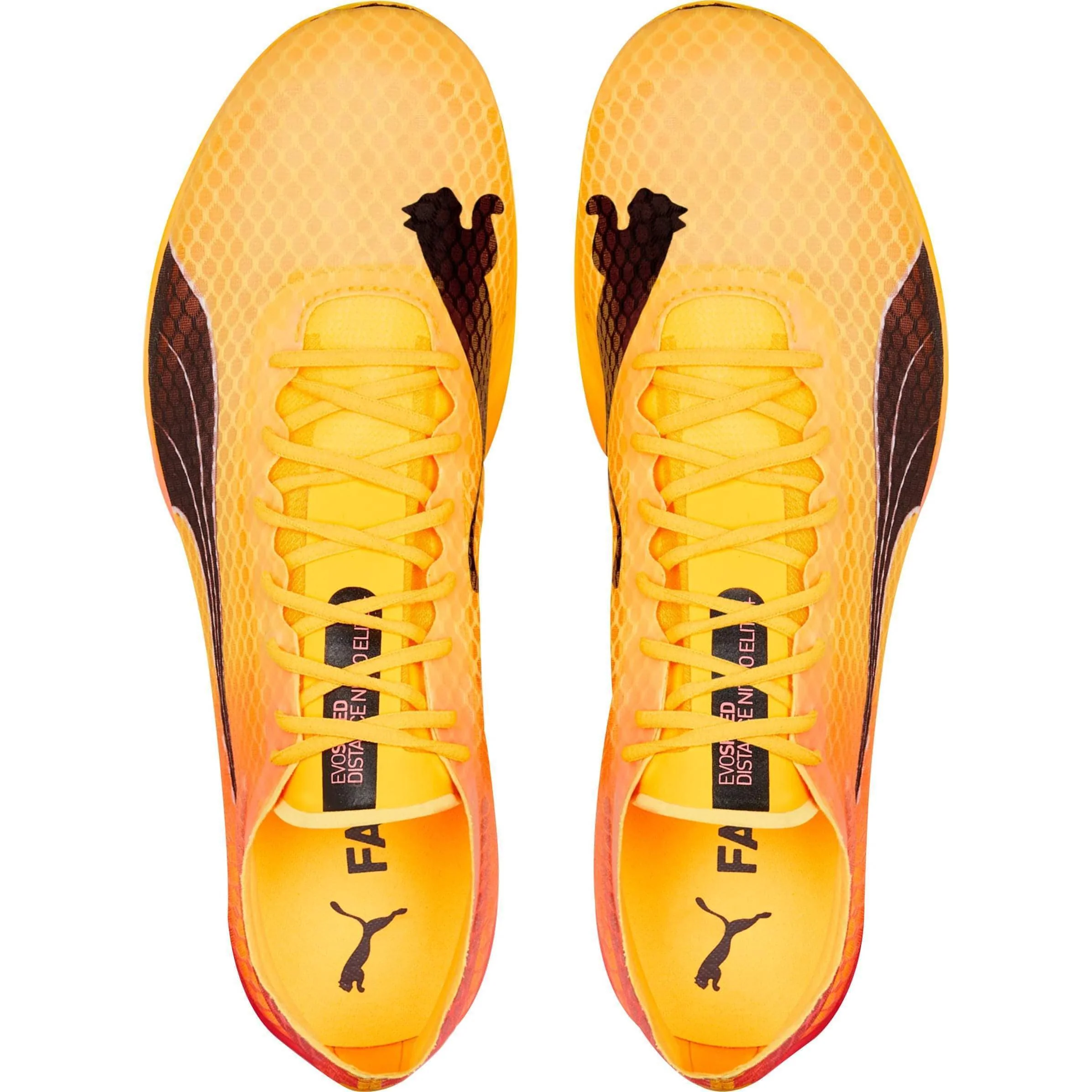 Puma evoSpeed Distance Nitro Elite + 2 Running Spikes - Orange - Image 4
