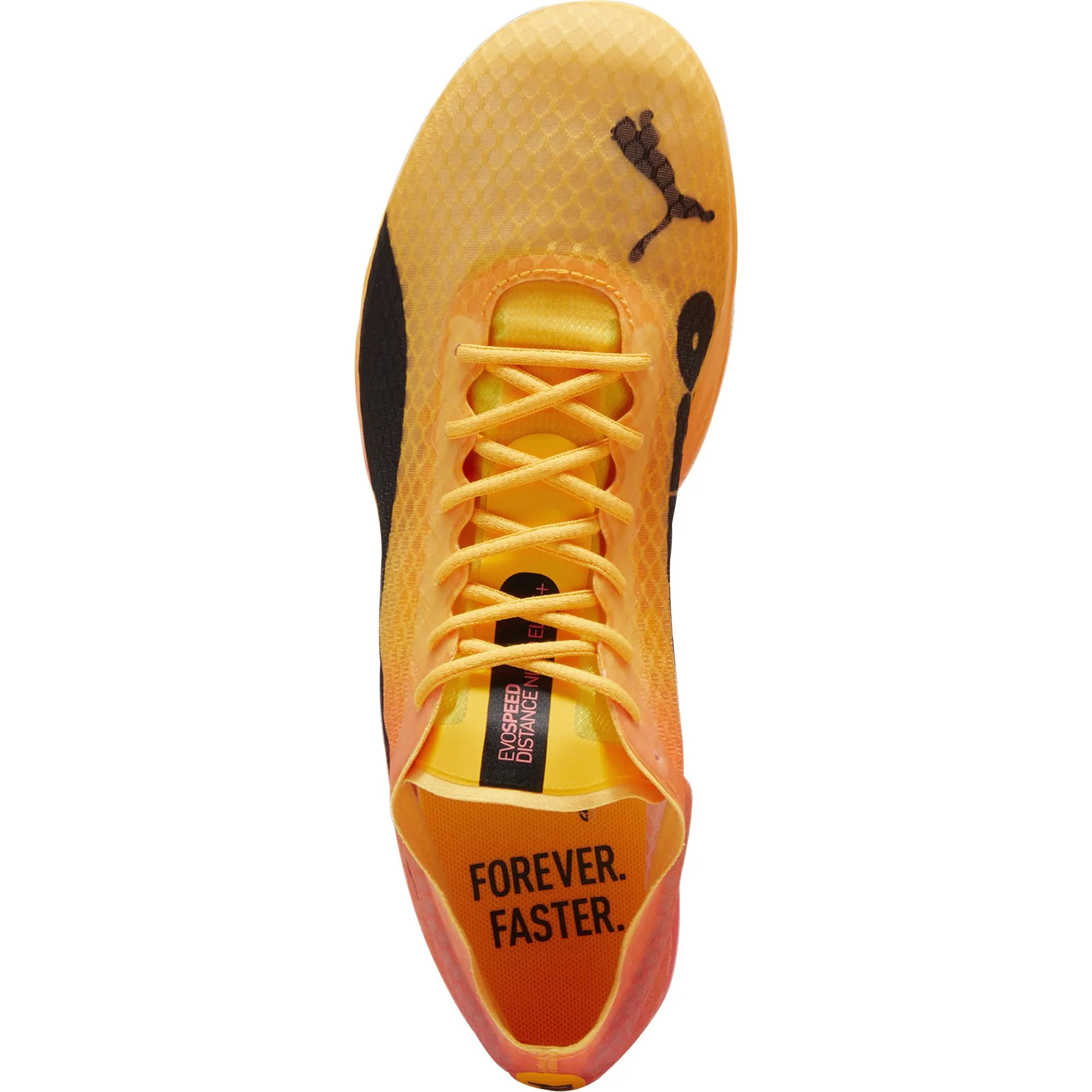 Puma evoSpeed Distance Nitro Elite + 4 Running Spikes - Orange - Image 4