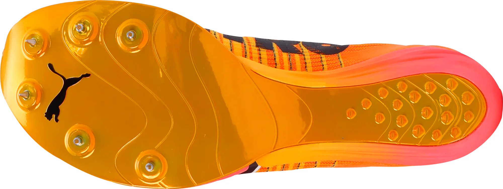 Puma evoSpeed Forte Nitro Elite Running Spikes - Orange - Image 2