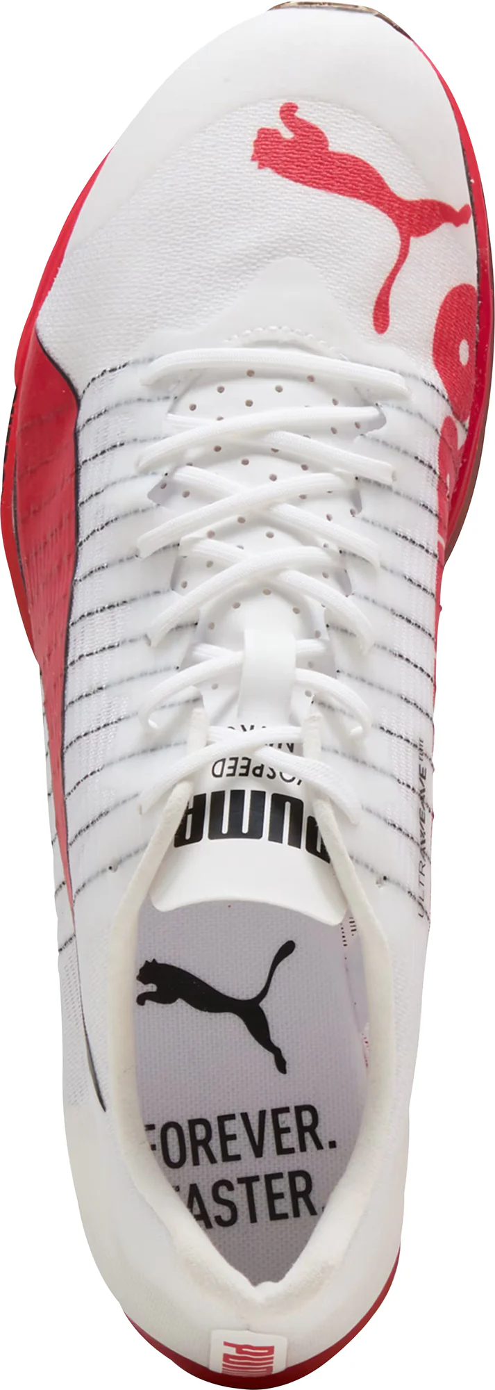 Puma evoSpeed Forte Nitro Elite Running Spikes - White - Image 4