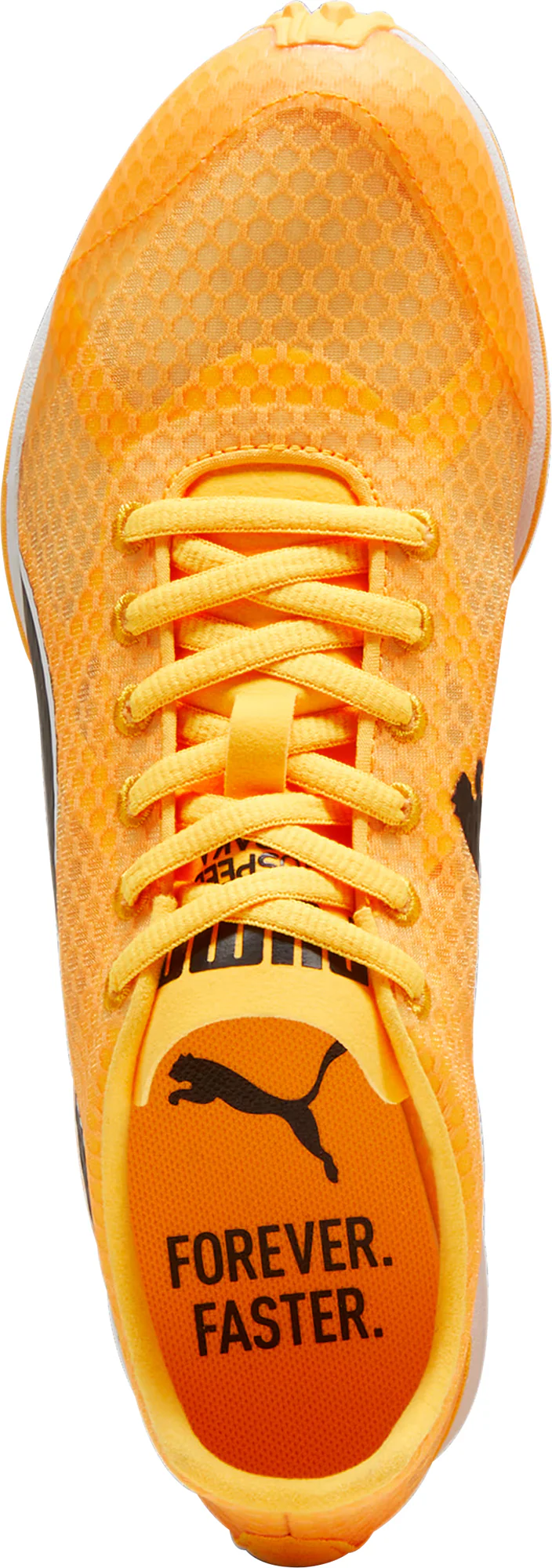 Puma evoSpeed Haraka 8 Cross Country Spikes - Orange - Image 4