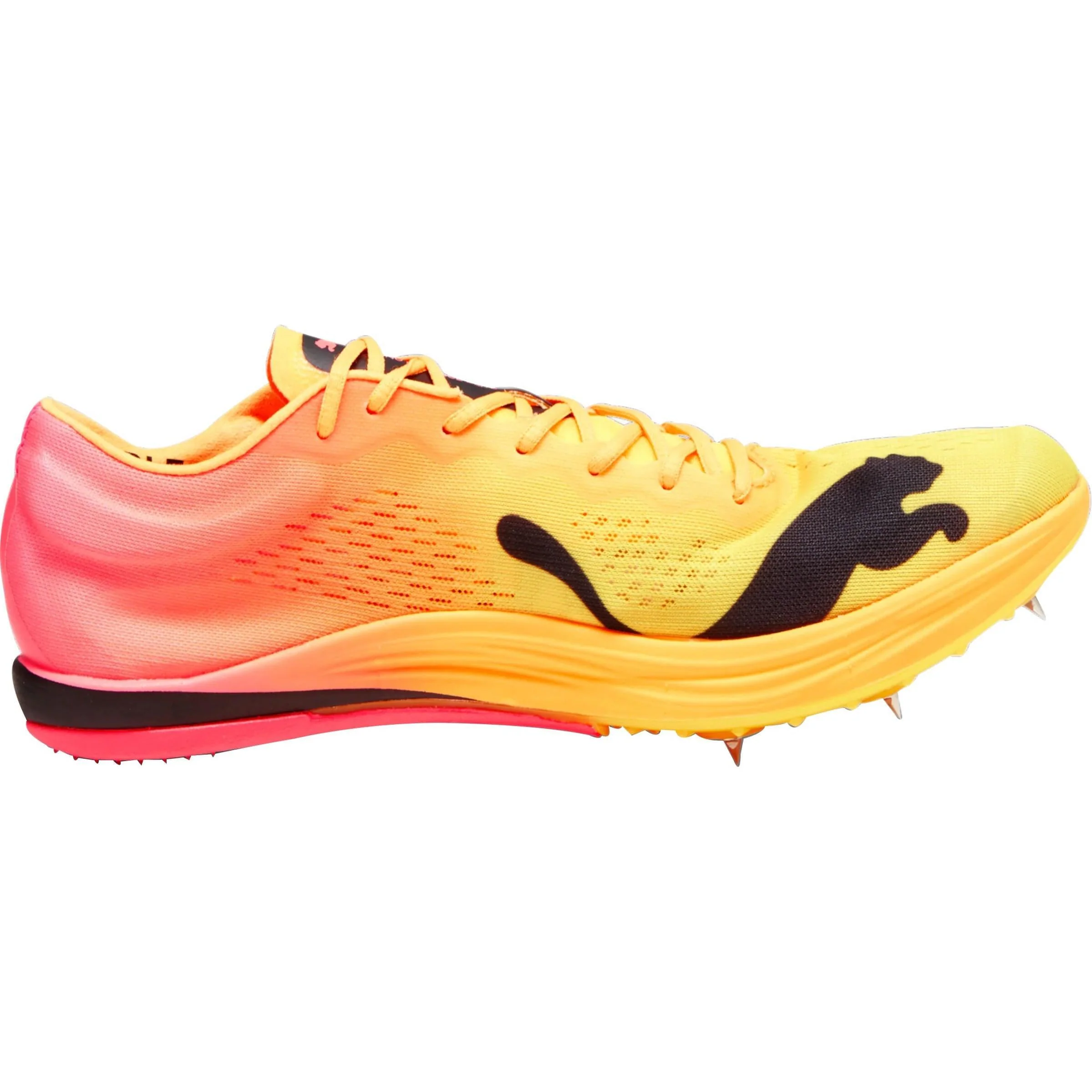 Puma evoSpeed Nitro Elite+ Long Distance Running Spikes - Orange - Image 3