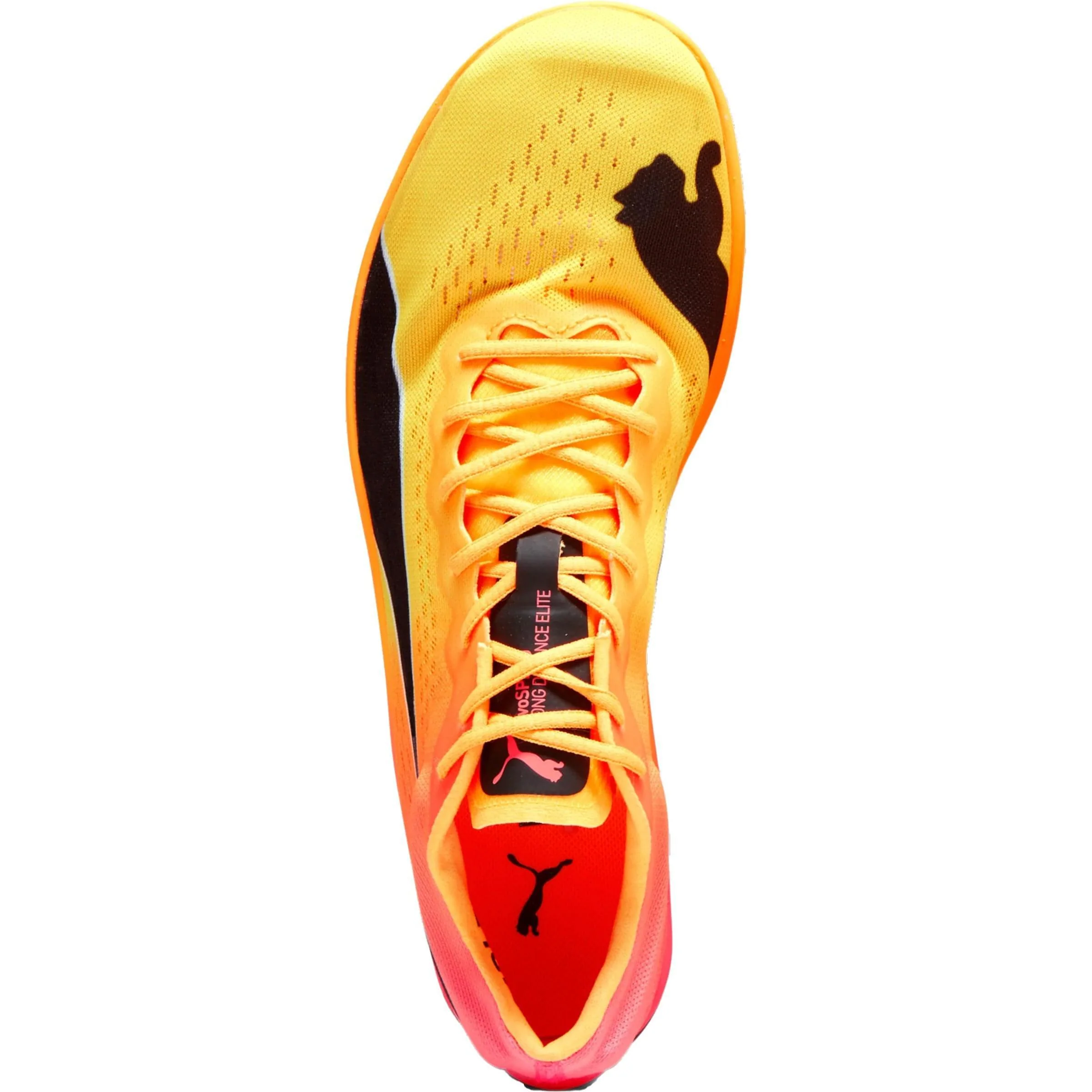Puma evoSpeed Nitro Elite+ Long Distance Running Spikes - Orange - Image 4